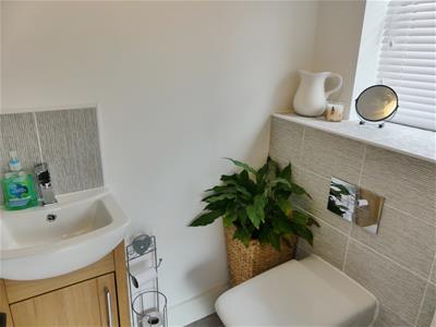 Picture 14